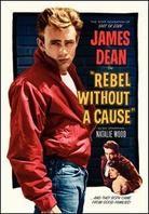 Rebel without a cause (1955)