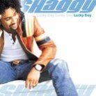 Shaggy - Lucky Day (2 LPs)