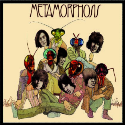The Rolling Stones - Metamorphosis (LP)
