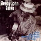 Sleepy John Estes - I Ain't Gonna Be (2 LPs)
