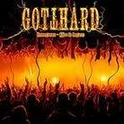 Gotthard - Homegrown - Alive In Lugano (2 LPs)