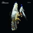 The Courteeners - Falcon (LP)
