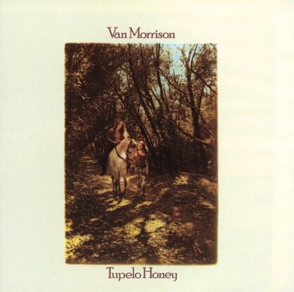Van Morrison - Tupelo Honey (LP)
