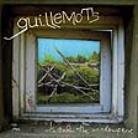 The Guillemots - Through The Window Pane (2 LPs)
