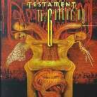 Testament - Gathering (2 LPs)