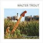 Walter Trout - Common Ground (LP)