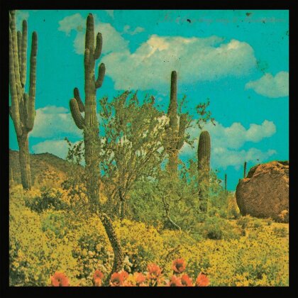 Puta Madre Brothers - It's A Long Way To Mexicotown (LP)