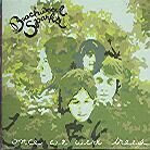 Beachwood Sparks - Once We Were Trees (2 LPs)