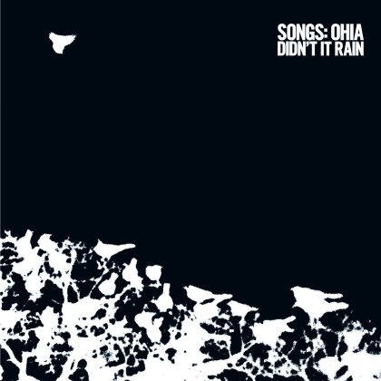 Songs: Ohia - Didn't It Rain (LP)