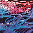 Hairy Chapter - Can't Get Through (LP)