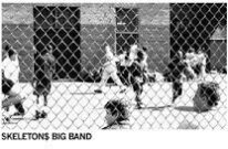 Skeletons - Bus (Limited Edition, LP)