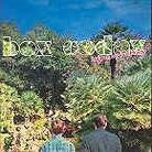 Box Codax (Franz Ferdinand) - Only An Orchard Away (LP)
