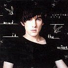 Patrick Wolf - Wind In The Wires (2 LPs)