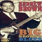 Andrew Brown - Big Brown's Chicago Blues (LP)