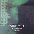 William Orbit - Best Of Strange Cargo