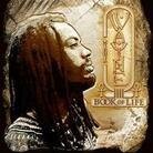 I Wayne - Book Of Life (LP)