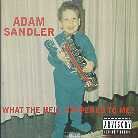 Adam Sandler - What The Hell Happened