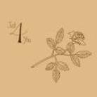 George Smallwood - Just 4 You (2 LPs)