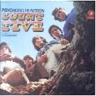 Count Five - Psychotic Reaction (LP)