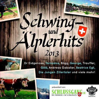 Schwing- Und Älplerhits 2013 (2 CDs)