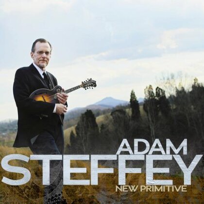 Adam Steffey - New Primitive