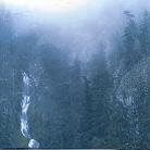 Wolves In The Throne Room - Diadem Of 12 Stars (2 LPs)