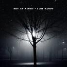 I Am Kloot - Sky At Night (LP)