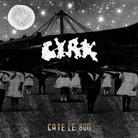Cate Le Bon - Cyrk - Turnstille Records (LP)