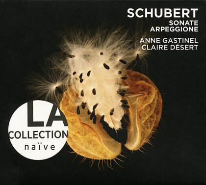Franz Schubert (1797-1828), Anne Gastinel & Claire Desert - Arpeggione / Transcriptions from Songs for Piano Solo / Sonate