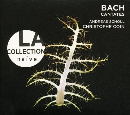Johann Sebastian Bach (1685-1750), Christophe Coin, Barbara Schlick, Andreas Scholl, Ensemble Baroque de Limoges, … - Kantaten Bwv 49,115,180 - La collection naive