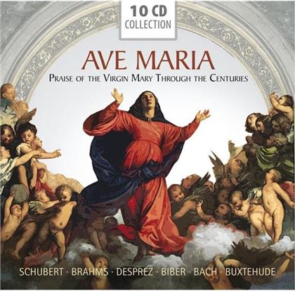 Dufay Ensemble, Salzburger Barockensemble, Regensburger Domspatzen, Franz Schubert (1797-1828), … - Ave Maria Von : Praise of the Virgin Through the Centuries (10 CDs)