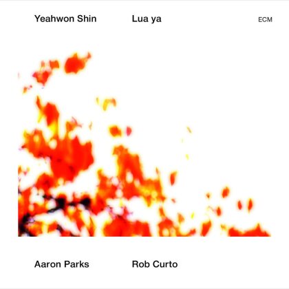 Aaron Parks, Shin Yeahwon & Rob Curto - Lua Ya