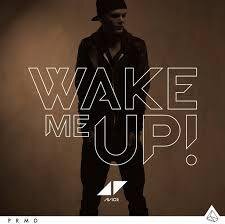 Avicii - Wake Me Up - 2Track
