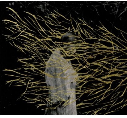 Forest Swords - Engravings