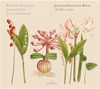 Johann Sebastian Bach (1685-1750), Wilbert Hazelzet, Jaap Ter Linden & Jacques Ogg - Sonaten für Floete / Flute Sonatas (2 CDs)