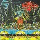 Imprecation - Theurgia Goetia Summa
