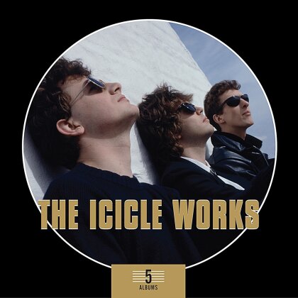 The Icicle Works - 5 Albums Box Set (5 CDs)