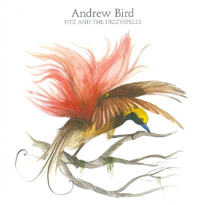 Andrew Bird - Fitz And The Dizzy