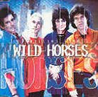 The Rolling Stones - Wild Horses