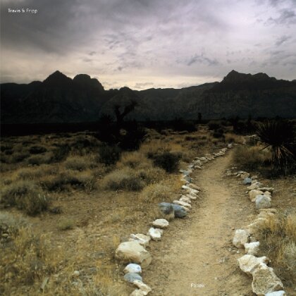 Robert Fripp & Theo Travis - Follow (LP)