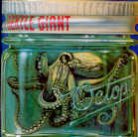 Gentle Giant - Octopus (LP)