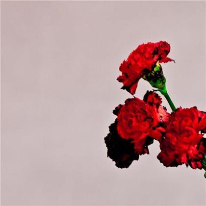 John Legend - Love In The Future (Édition Deluxe)