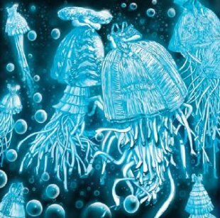 Elkee - Jellyfish dress