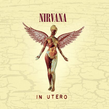Nirvana - In Utero (Version nouvelle)