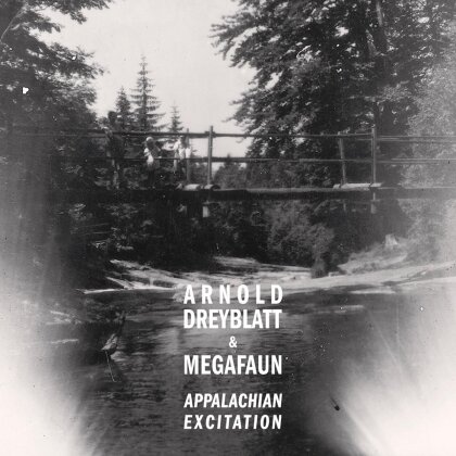 Arnold Dreyblatt & Megafaun - Appalachian Excitation