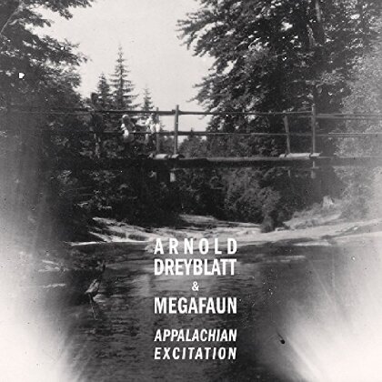 Arnold Dreyblatt & Megafaun - Appalachian Excitation (LP + Digital Copy)