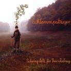 Schlammpeitziger - Schwingstelle Fuer Rausc (LP)