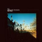 The Cinematic Orchestra - Ma Fleur (Limited Deluxe Edition, 2 LPs)