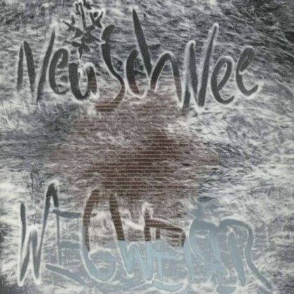 Neuschnee - Wegweiser