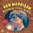 Van Morrison - Blowin' Your Mind - Epic Records (LP)